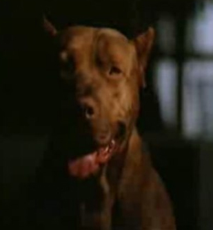 famous pit bulls in movies