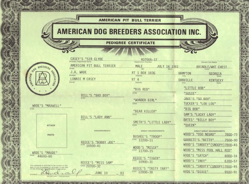 registration papers for dogs